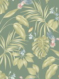Ohpopsi Hummingbird A4 Wallpaper Sample