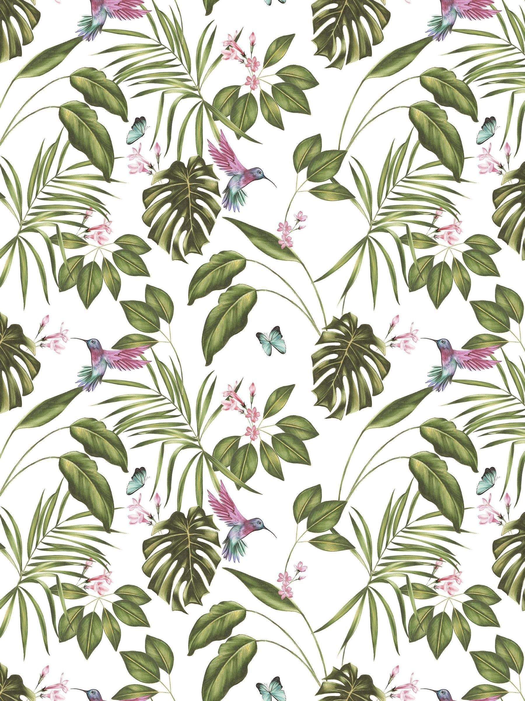 Ohpopsi Wilderness White Hummingbird A4 wallpaper sample, imported from the UK