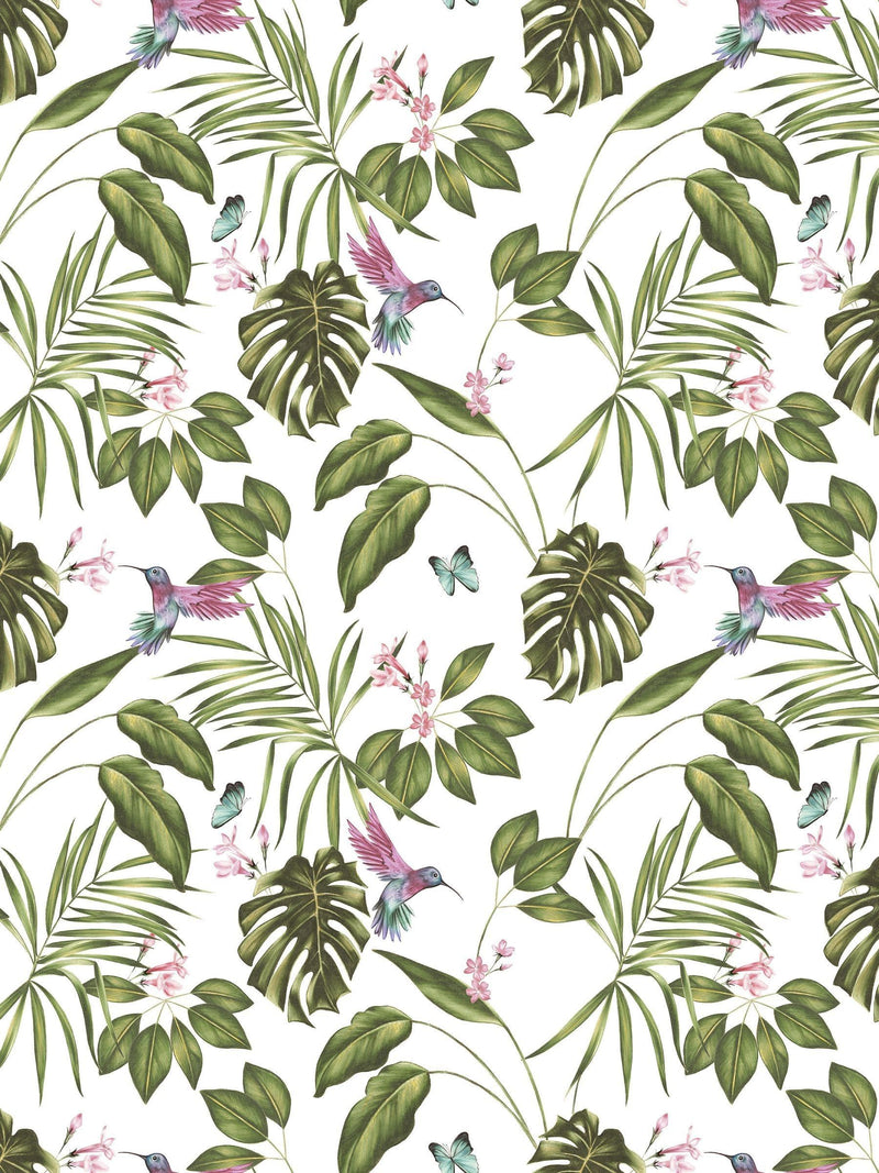 Ohpopsi Wilderness White Hummingbird A4 wallpaper sample, imported from the UK