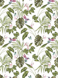 Ohpopsi Wilderness White Hummingbird A4 wallpaper sample, imported from the UK