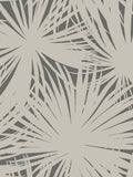 Ohpopsi Shadow Palm wallpaper sample A4, imported from the UK