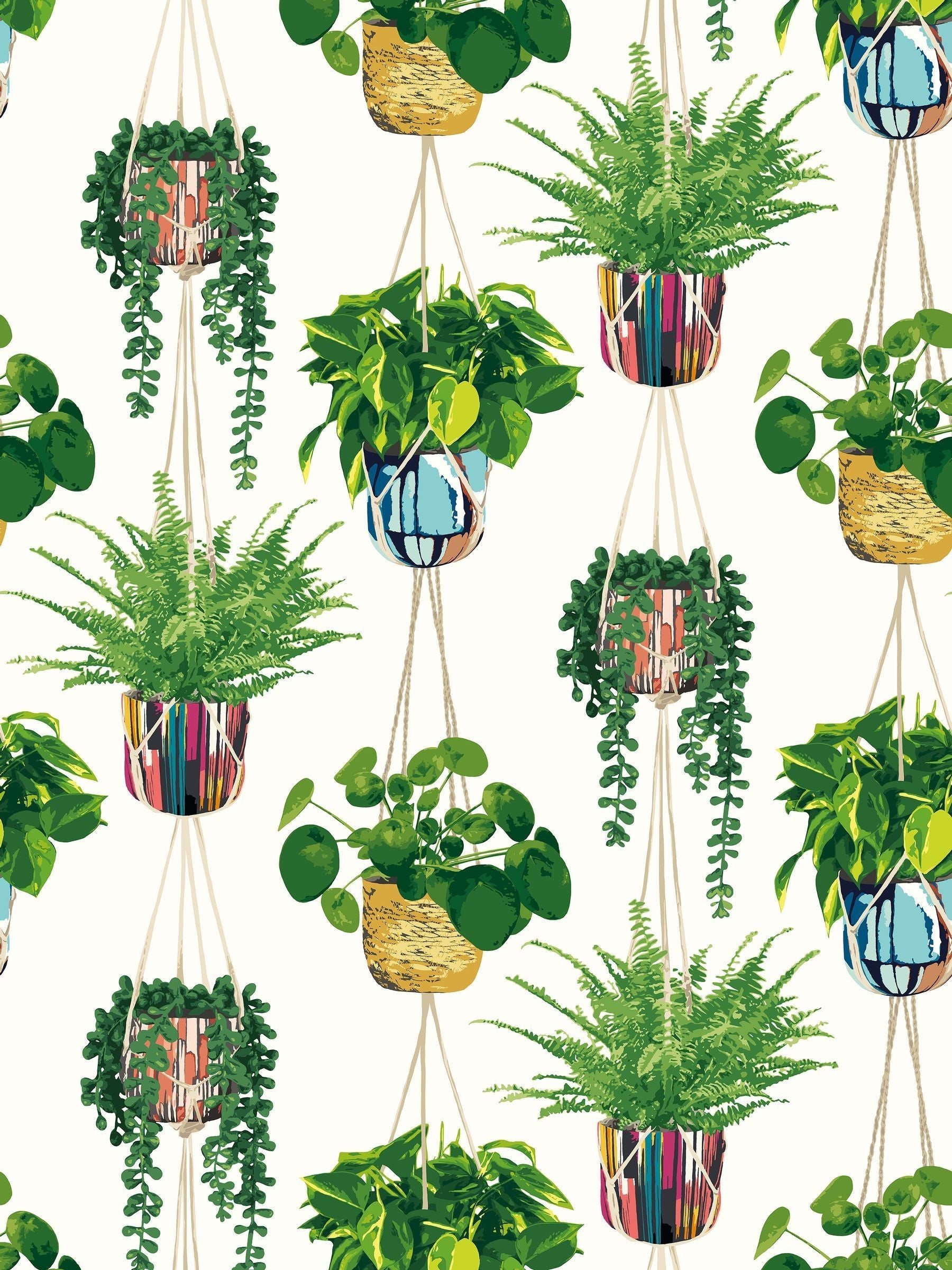Ohpopsi Parakeet Houseplant wallpaper 10m, imported from the UK