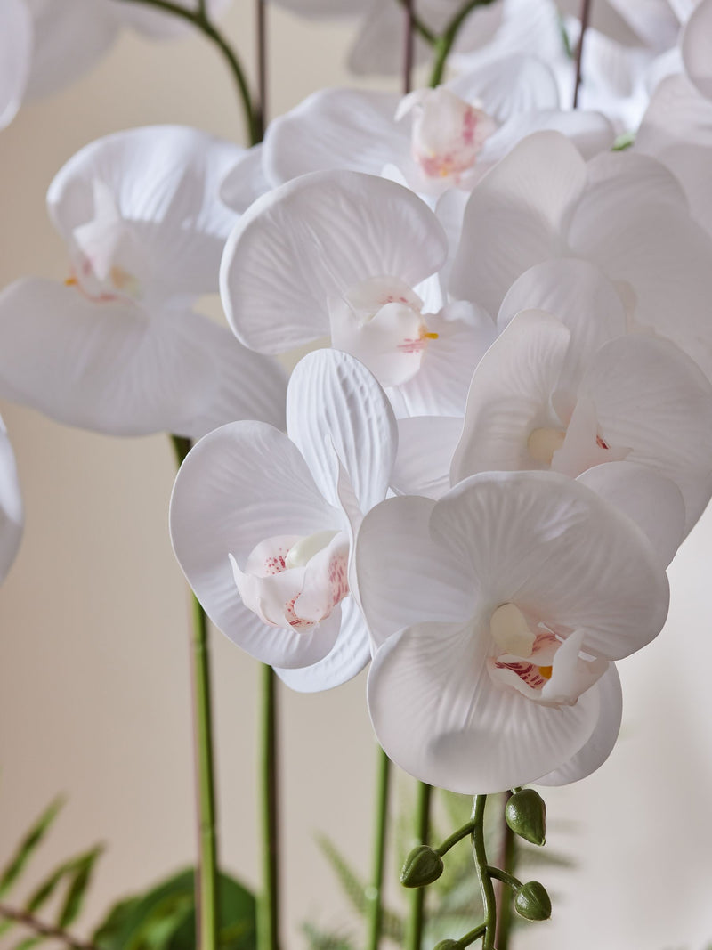 White artificial real touch orchid in reactive ceramic pot 60cm (British brand)