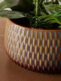 White artificial real touch orchid in reactive ceramic pot 60cm (British brand)