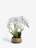 White artificial real touch orchid in reactive ceramic pot 60cm (British brand)