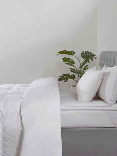 Couette en coton garnie de plumes et de duvet d'oie 10,5 tog
