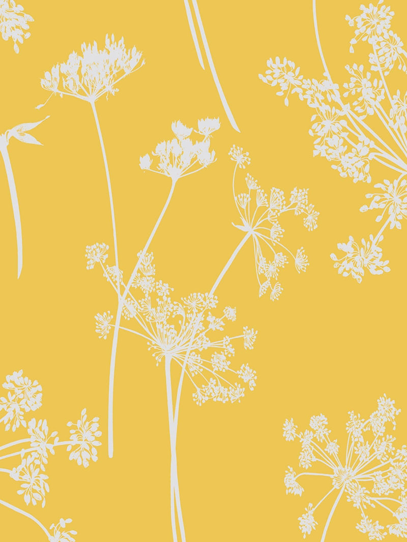 Graham & Brown Blush Anthriscus wallpaper sample A4 - British product
