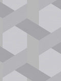 Graham & Brown wallpaper sample Fractal Grey A4, imported from the UK
