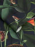 Graham & Brown Deep Sea Aquarium wallpaper sample A4 - British product