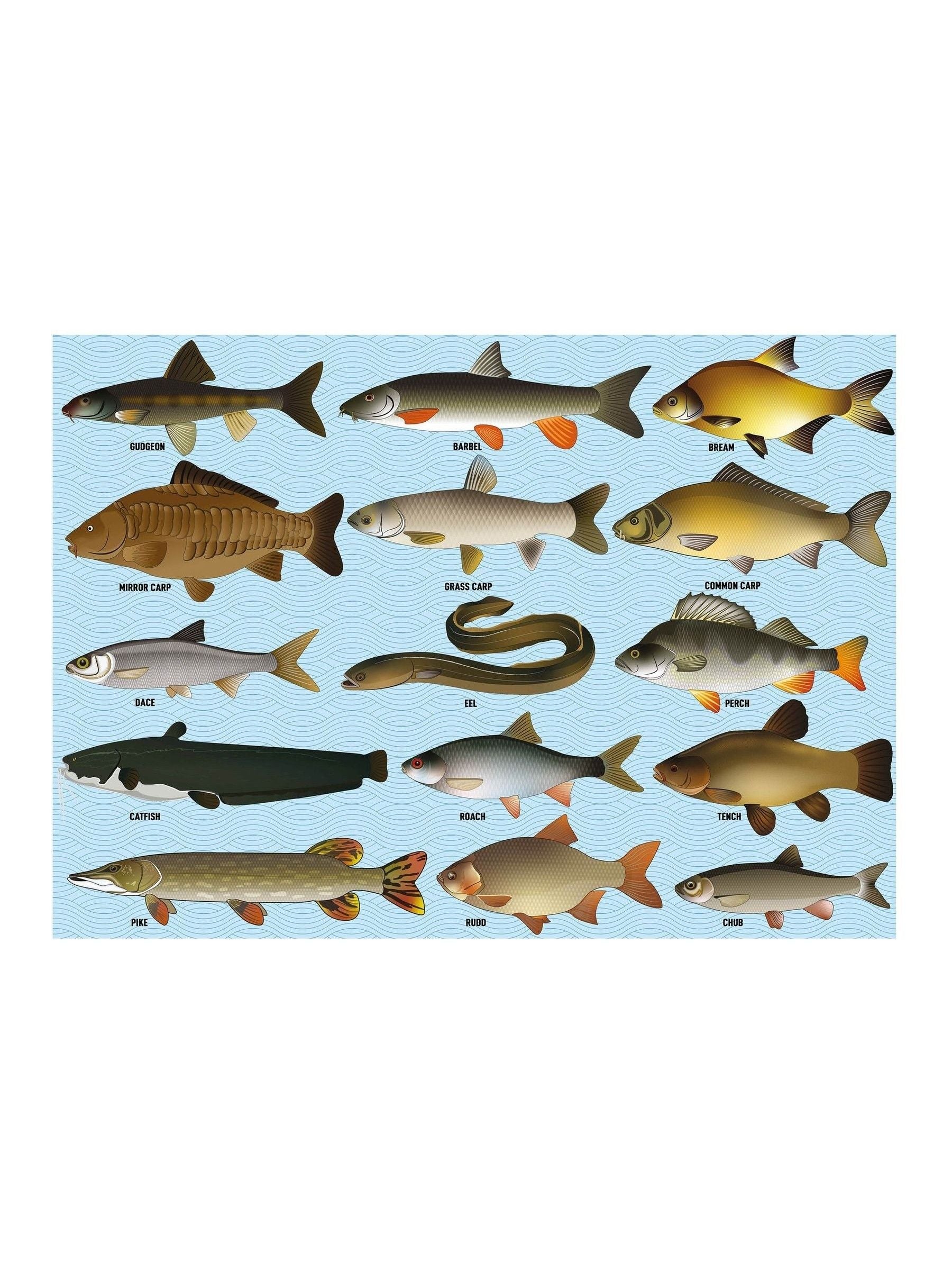 Coach House Partners coarse fish jigsaw puzzle 1000 pieces - British product
