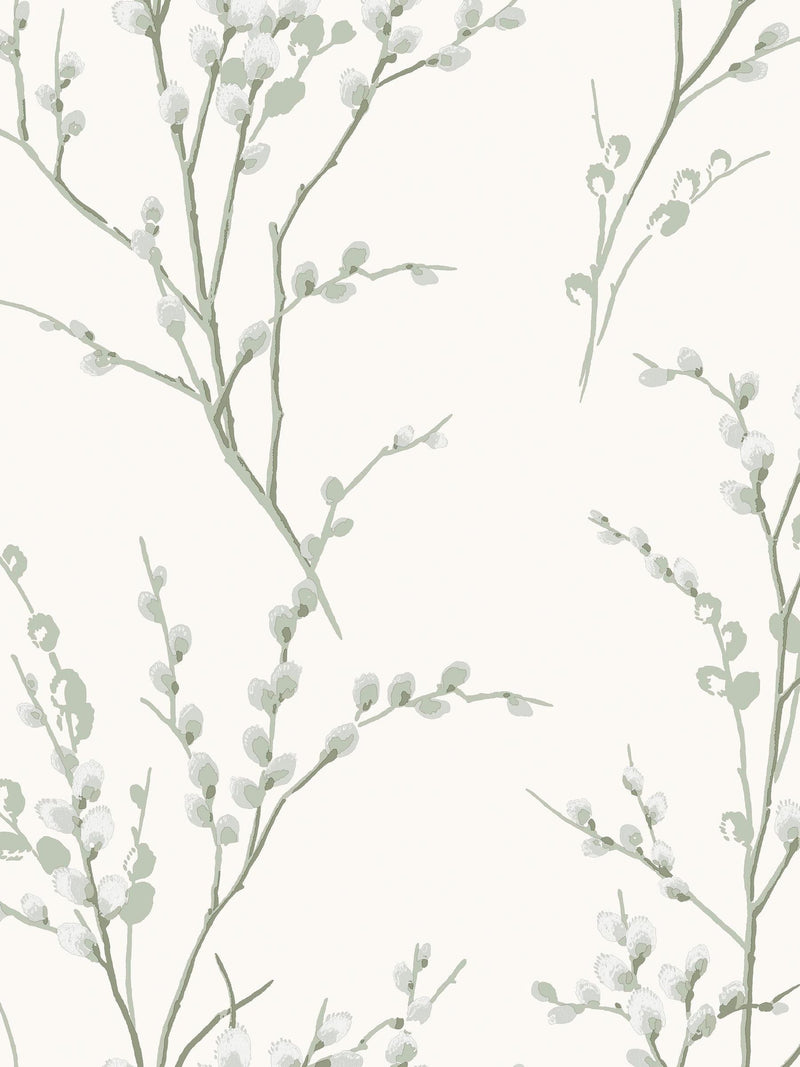 Laura Ashley White Pussy Willow wallpaper (British brand)