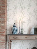 Laura Ashley White Pussy Willow wallpaper (British brand)
