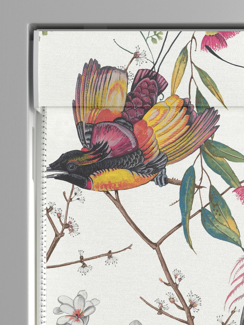 Graham & Brown Clavering Birds roman blind, imported from the UK