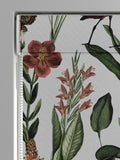 Graham & Brown roman blind White Glasshouse, UK version