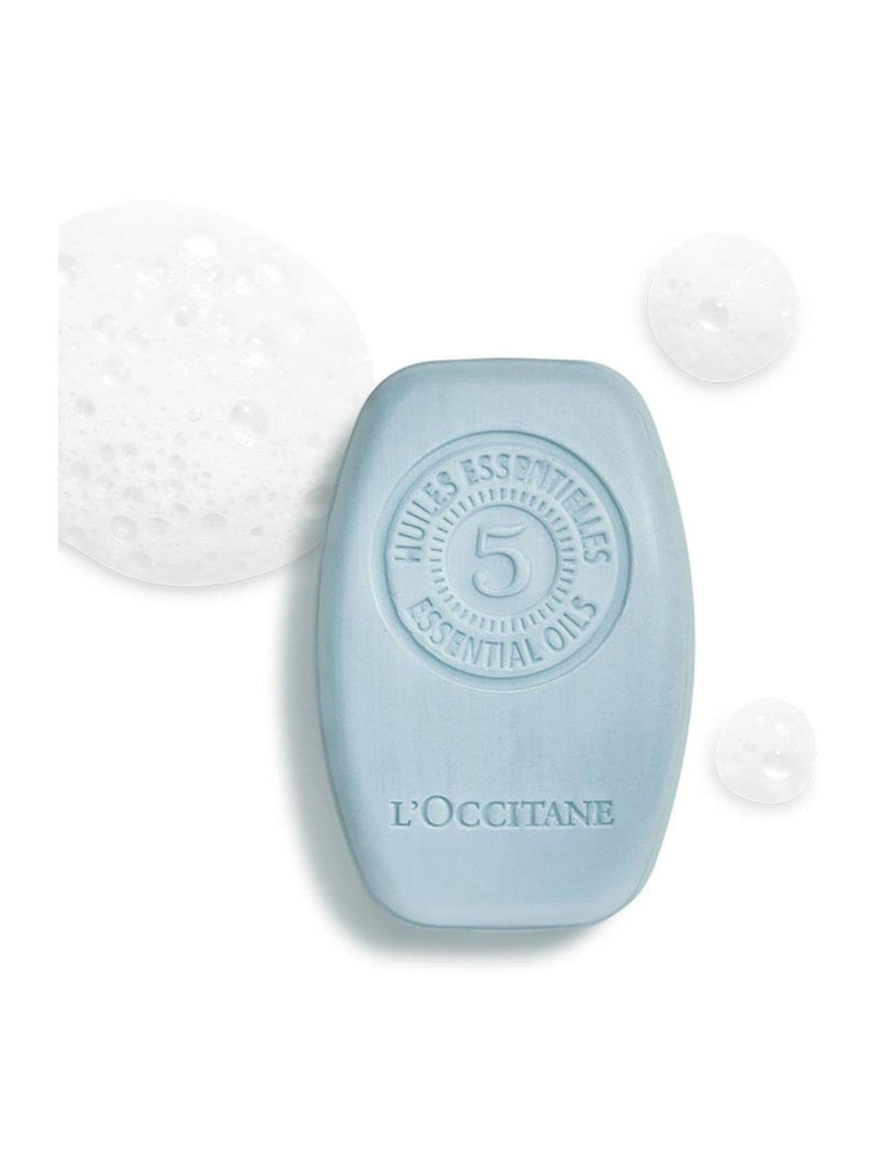 L'Occitane Solid Shampoo 60g, UK version