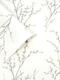 Laura Ashley wallpaper sample sage green Pussy Willow A4, imported from the UK