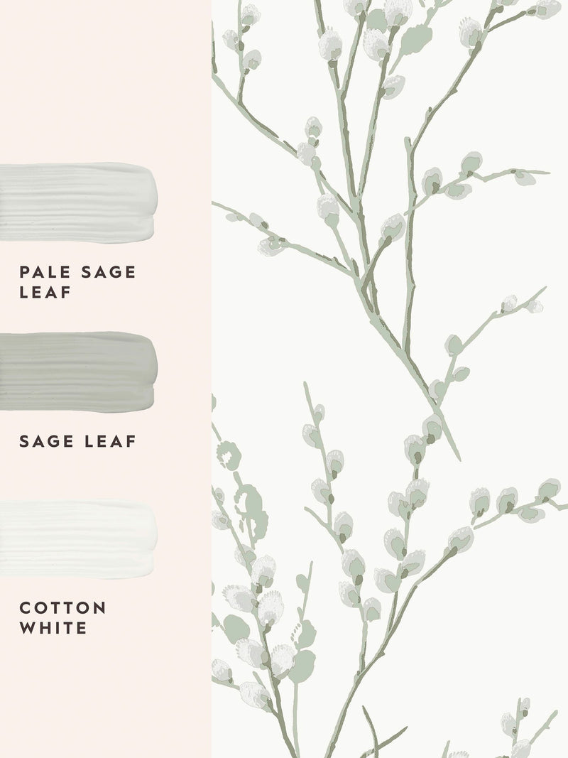 Laura Ashley wallpaper sample sage green Pussy Willow A4, imported from the UK
