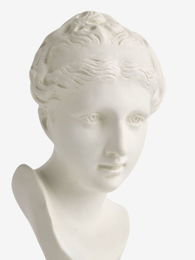 Next Laurence Llewelyn-Bowen Elfenbensfarget Gresk Byste Ornament Hjemmeinnredning 25 cm - Kjøp online hos McGrocer