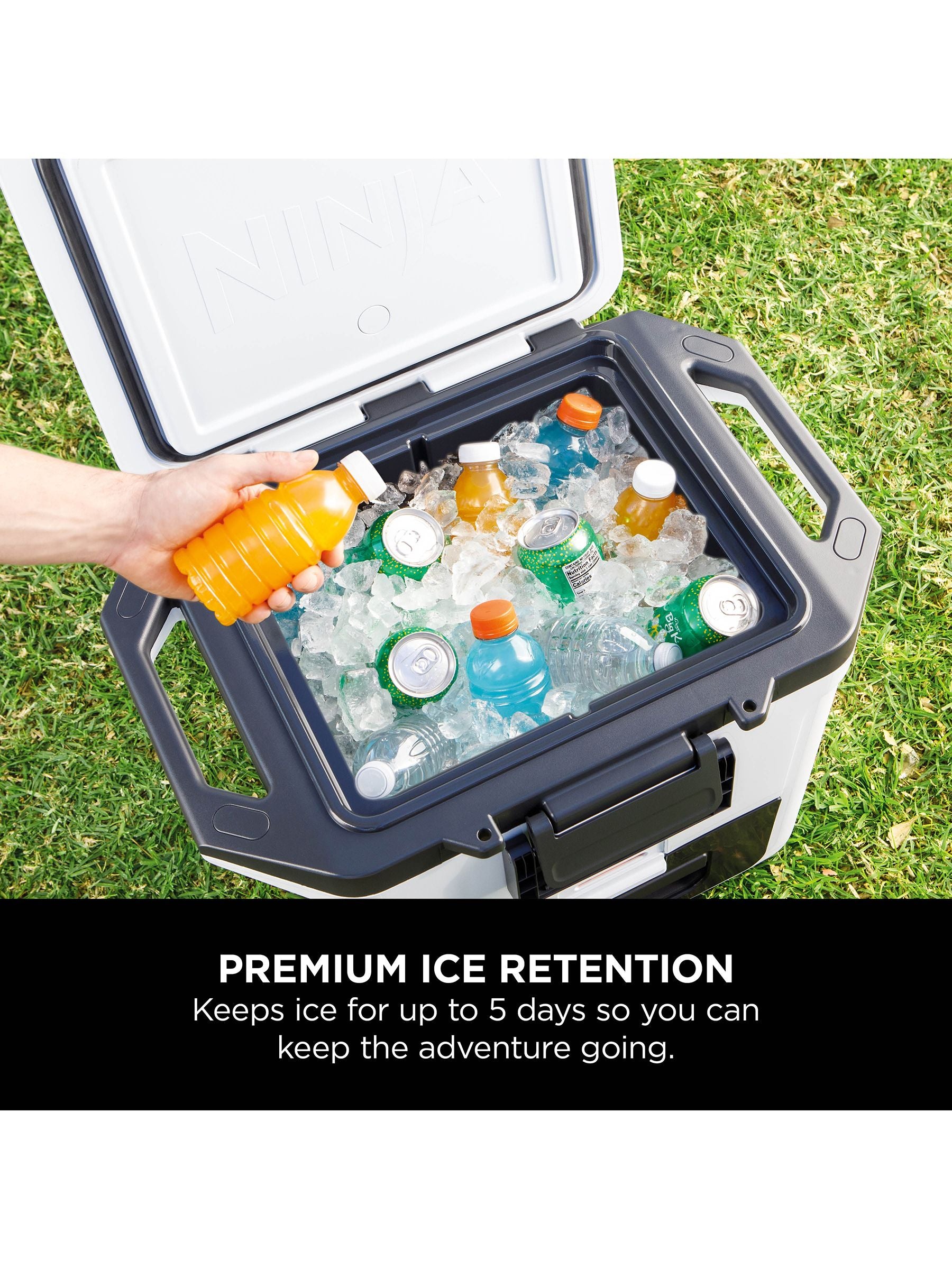 Ninja White FrostVault hard cooler 30QT/28L, imported from the UK