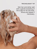 Philip Kingsley shampoo and conditioner duo 250ml 200ml - British product