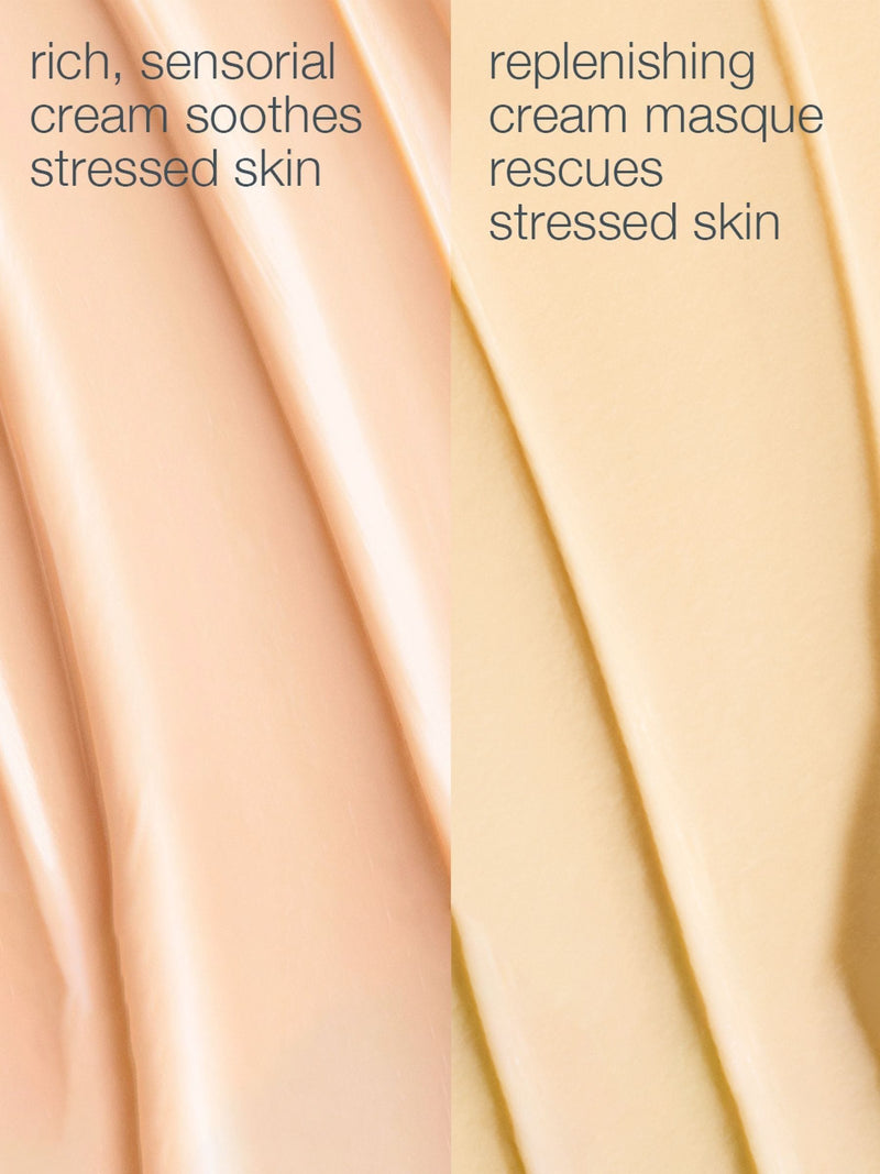 Dermalogica Stressed Skin Recovery System - British product