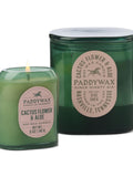 Paddywax Vista Cactus Green Cactus & Aloe Glass Candle