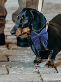 RUFF velvet embroidered dog bow - British product