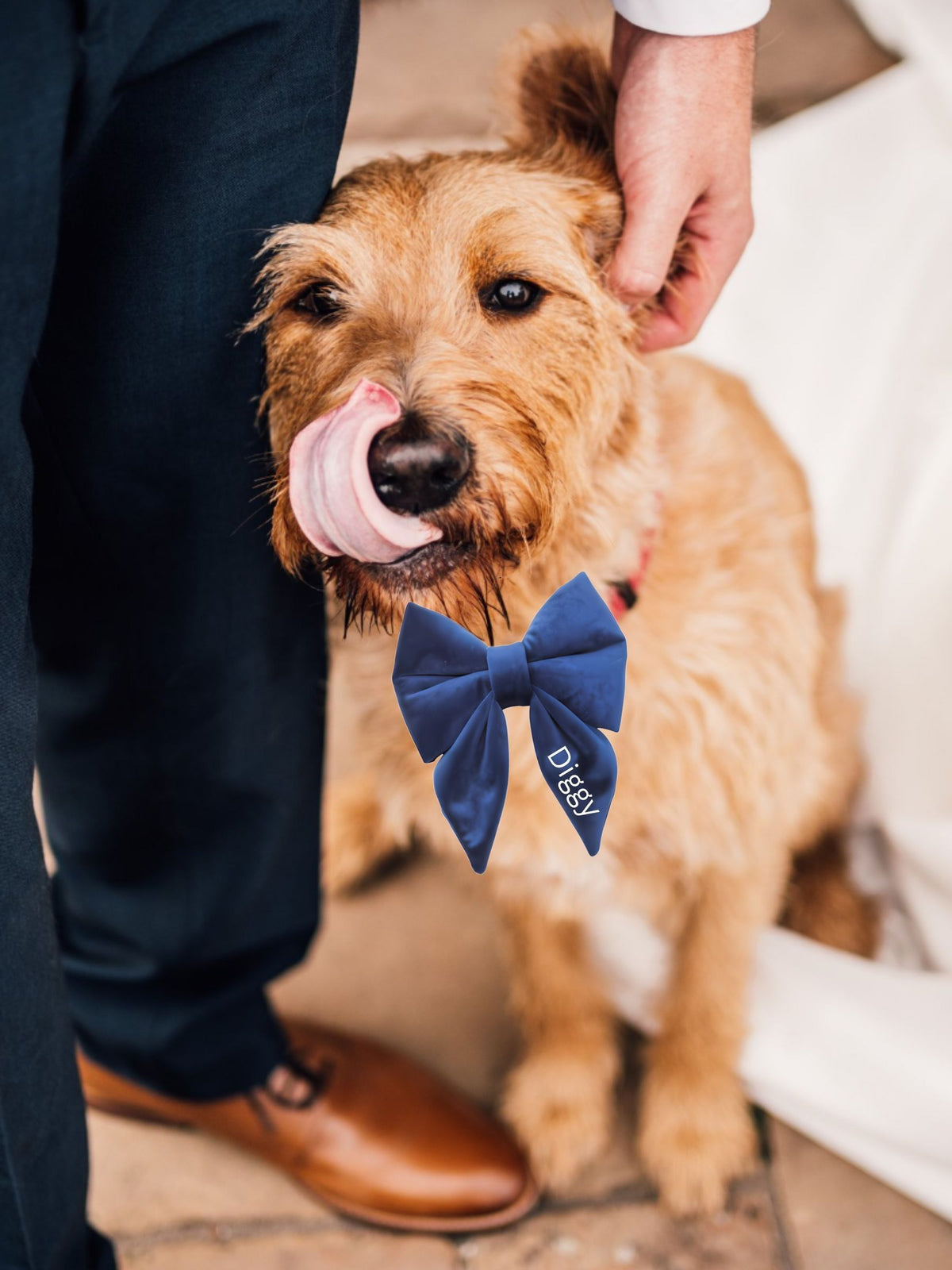 RUFF velvet embroidered dog bow - British product