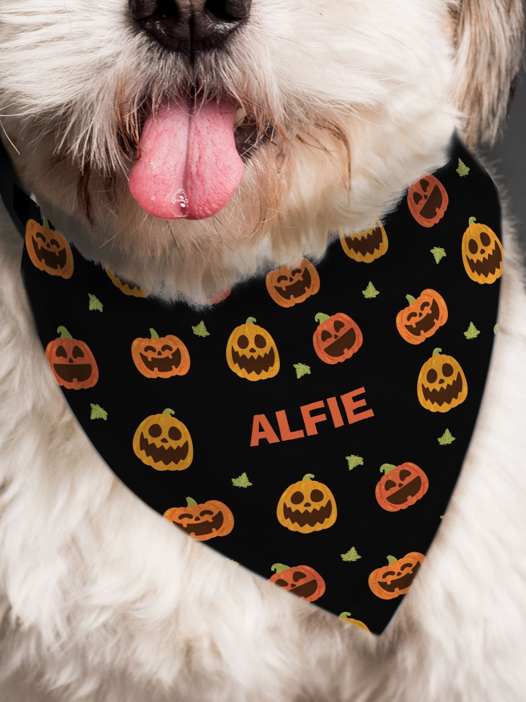 PMC personalised pumpkin bandana for dogs - British product