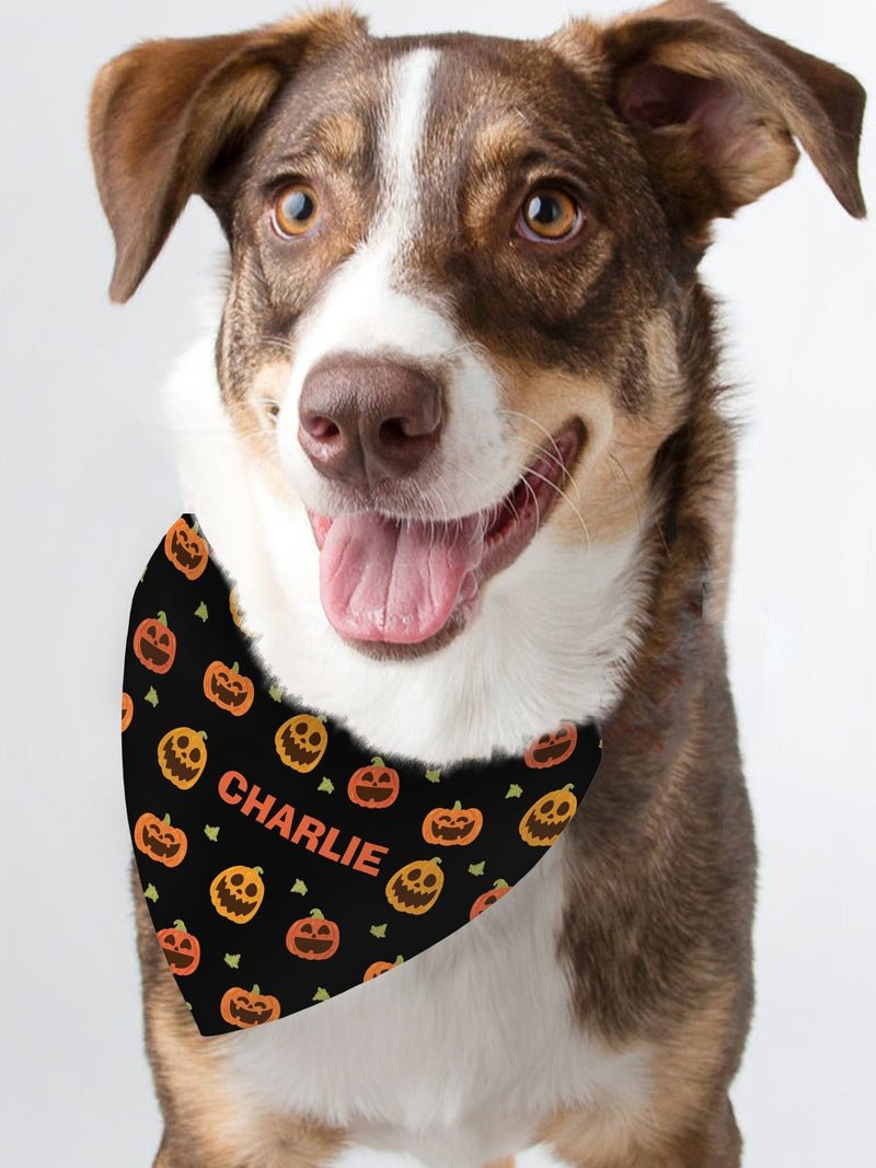 PMC personalised pumpkin bandana for dogs - British product