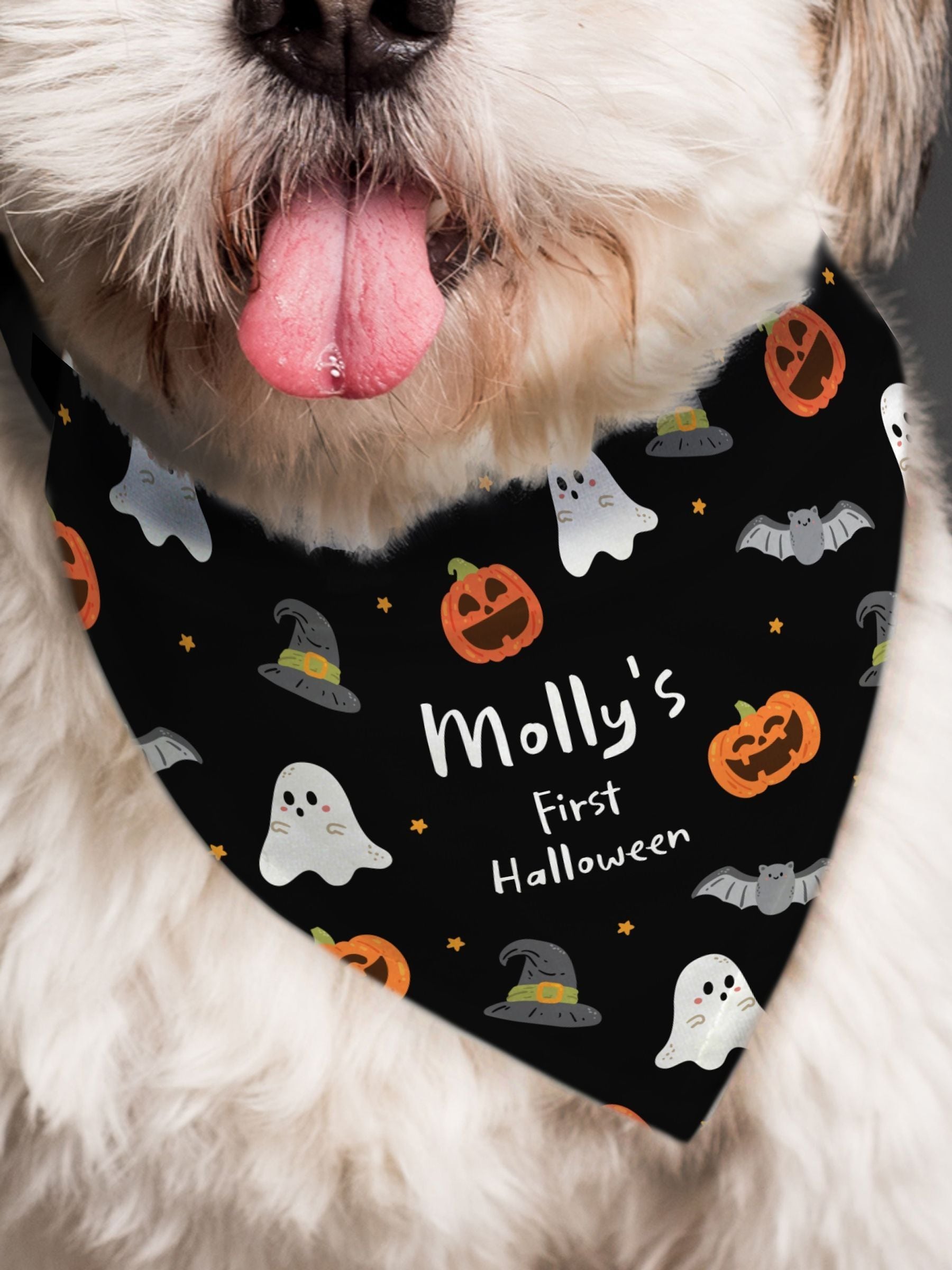 PMC personalised Halloween dog bandana small medium (British brand)