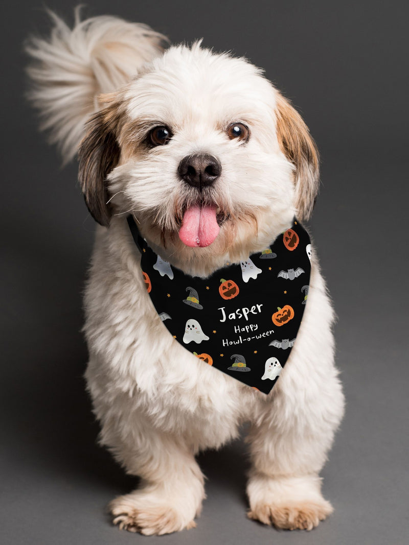 PMC personalised Halloween dog bandana small medium (British brand)