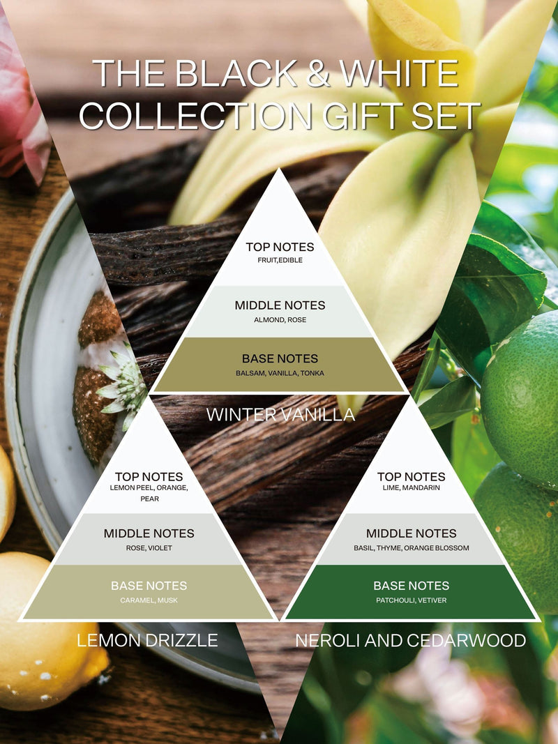 French Connection White Collection reed diffuser trio 3x60ml (British brand)