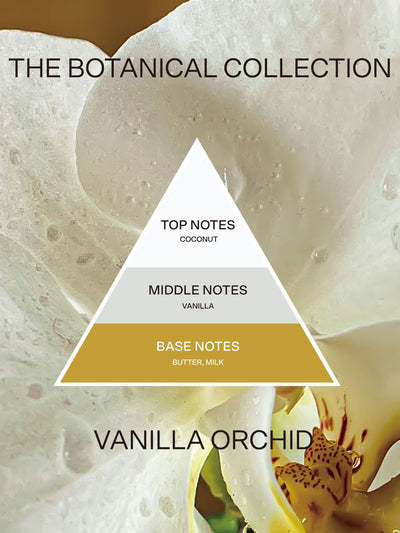 Next French Connection Botanisk Infused Vaniljeorkidé Lys 660G - Kjøp online hos McGrocer