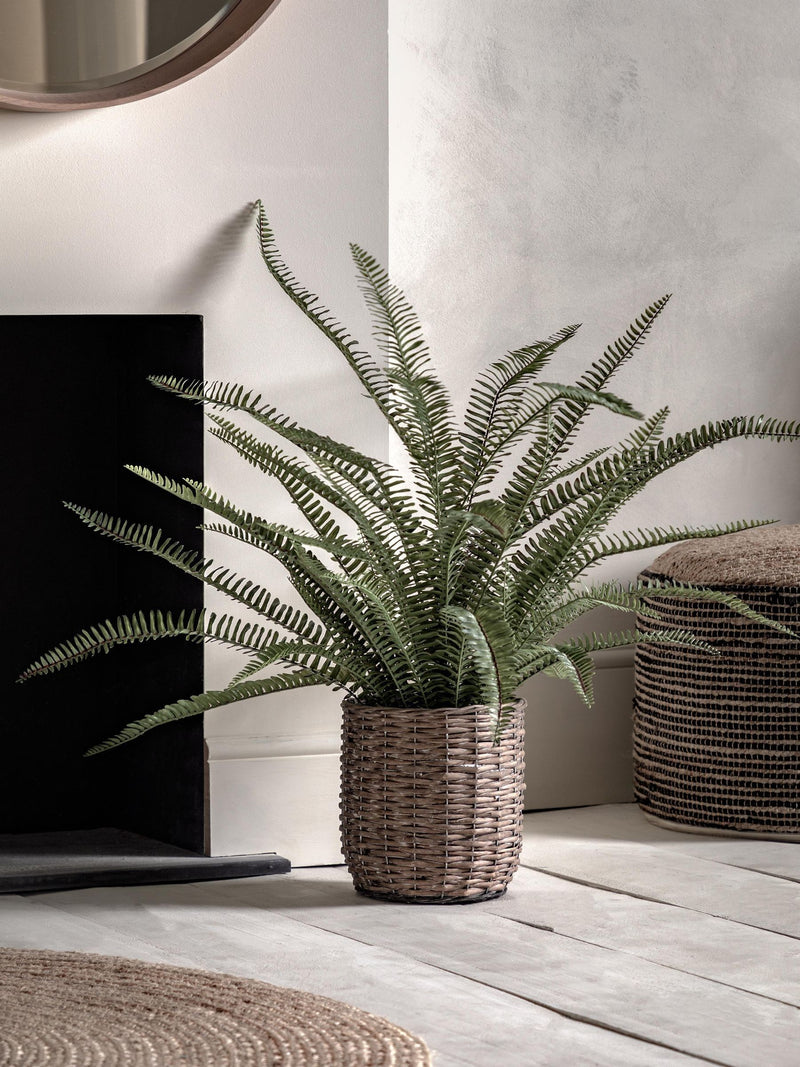 Gallery Home green potted fern plant in copper planter, imported from the UK