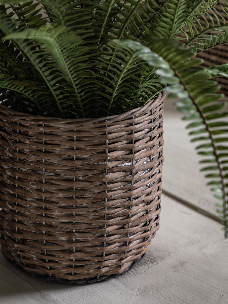 Gallery Home green potted fern plant in copper planter, imported from the UK