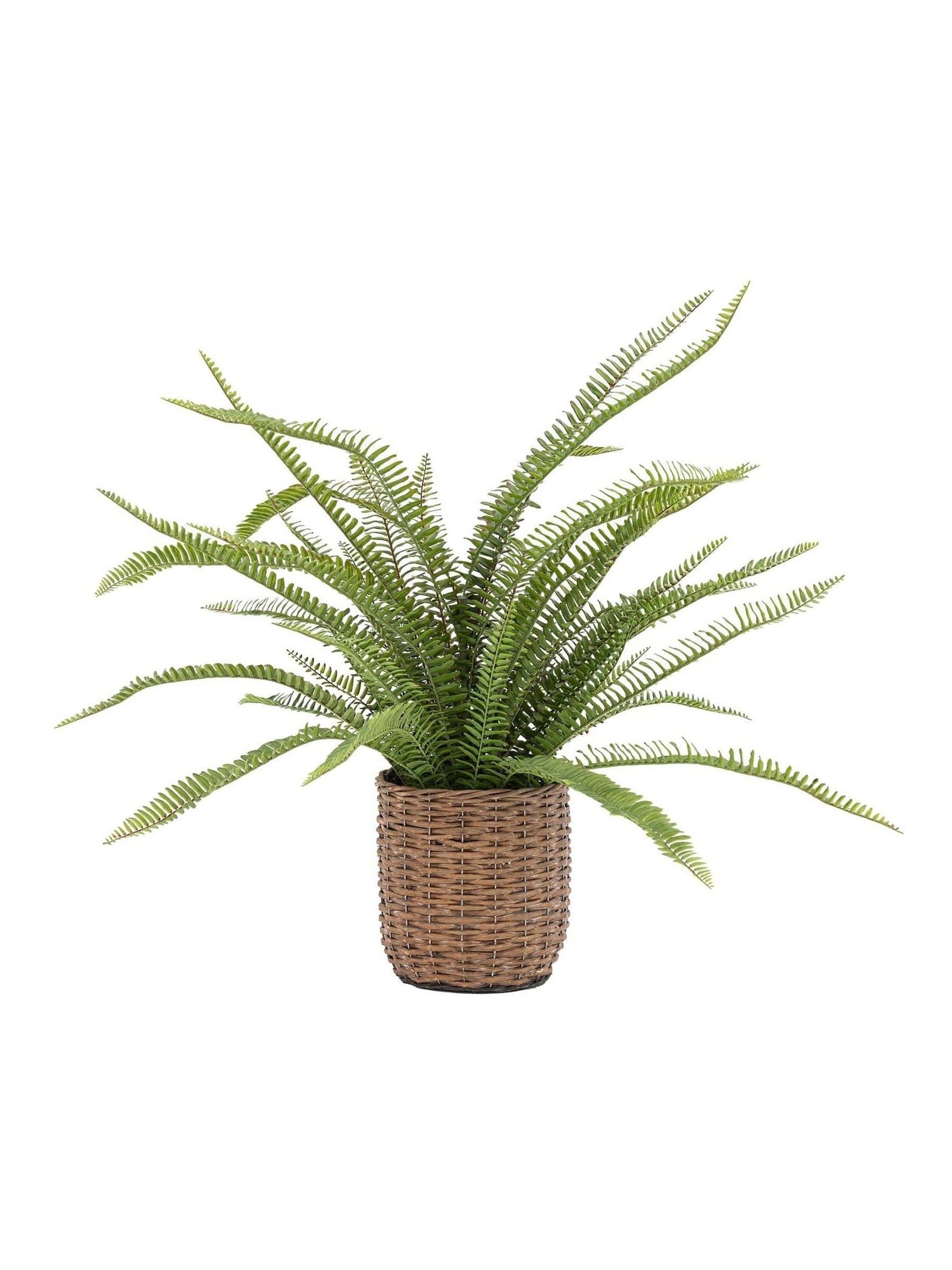 Gallery Home green potted fern plant in copper planter, imported from the UK