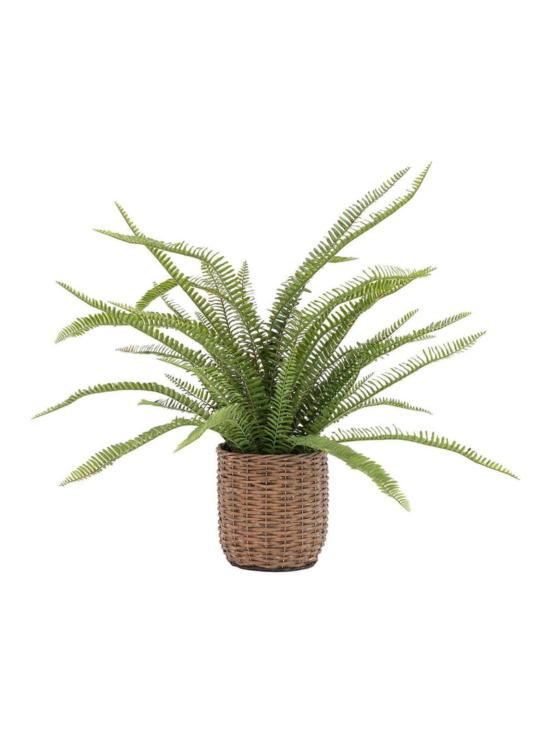 Gallery Home green potted fern plant in copper planter, imported from the UK