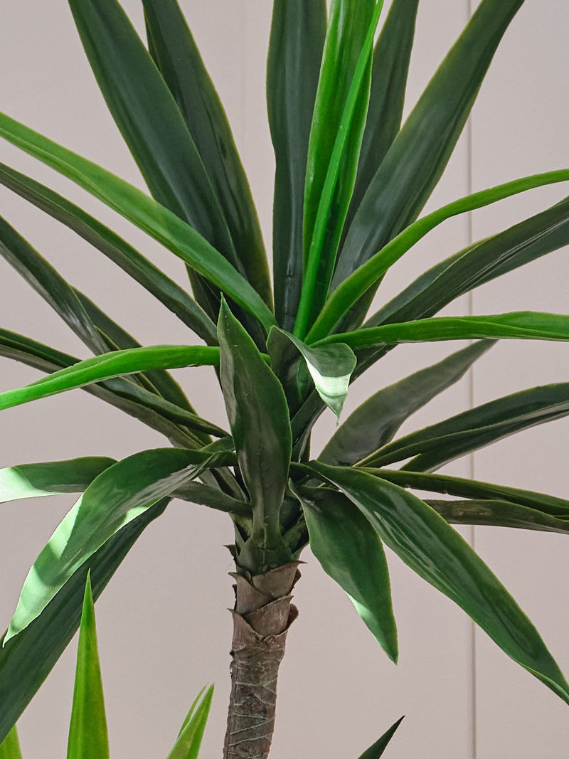 Beards & Daisies green artificial yucca plant 110cm - British product