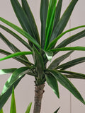 Beards & Daisies green artificial yucca plant 110cm - British product