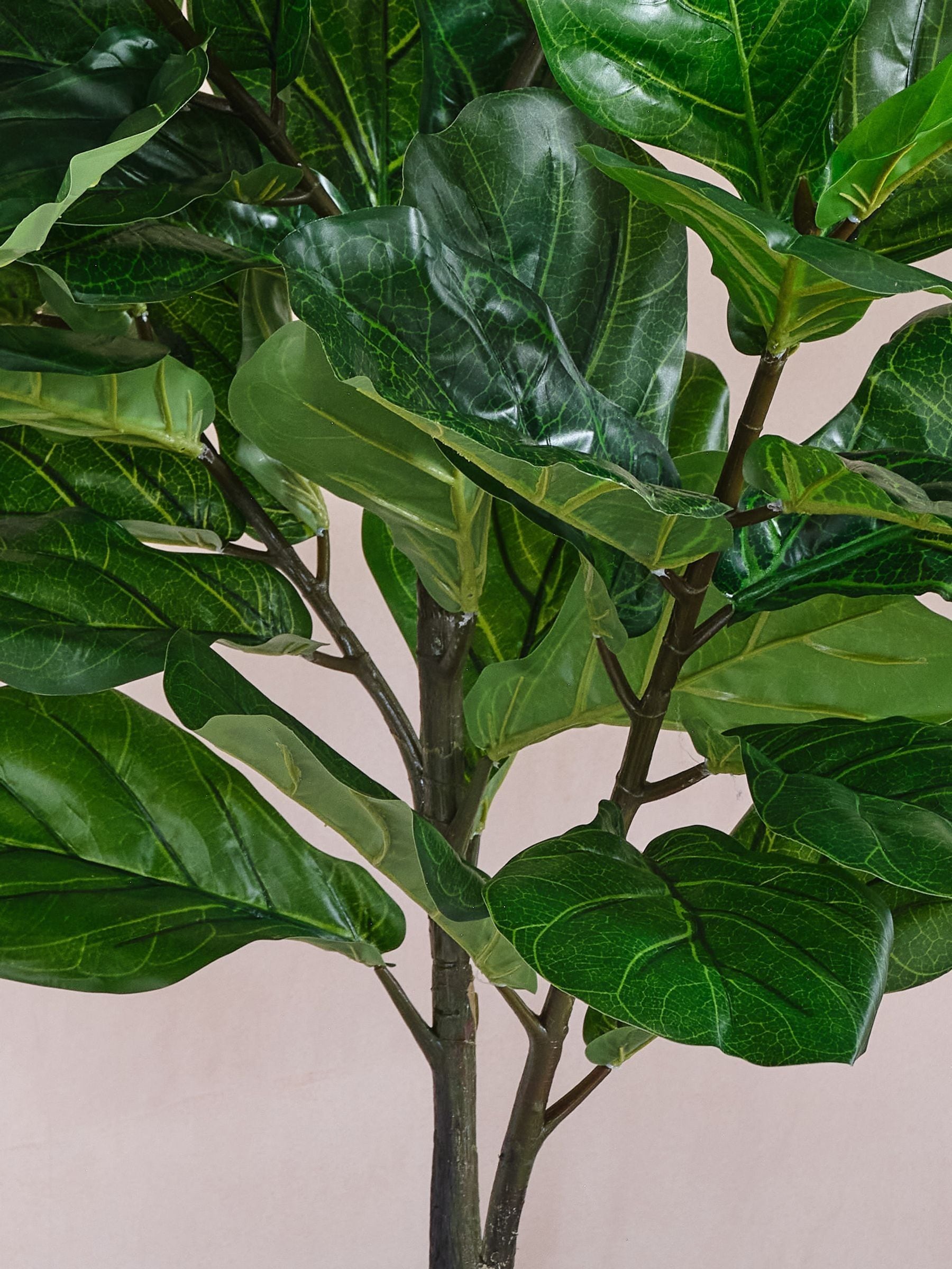 Beards & Daisies artificial fiddle leaf fig tree 120cm - British product