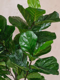 Beards & Daisies artificial fiddle leaf fig tree 120cm - British product