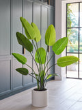 Beards & Daisies Green Artificial Bird of Paradise Plant
