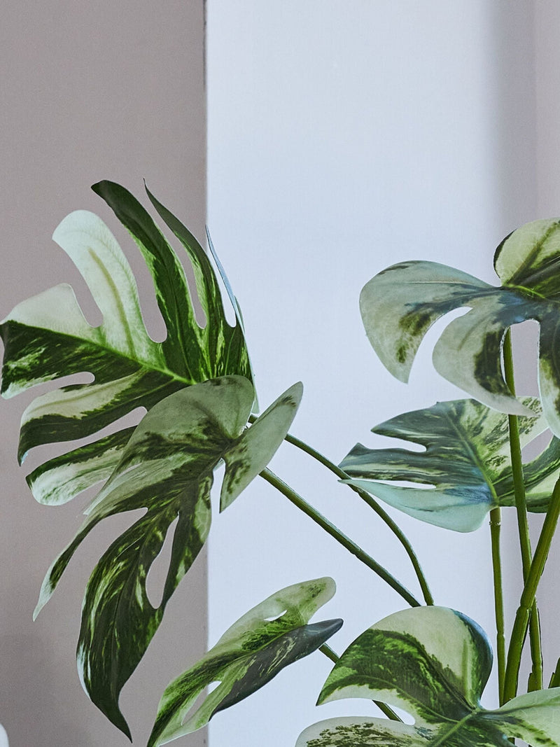 Beards & Daisies Green Artificial Variaged Monstera