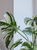 Beards & Daisies Green Artificial Variaged Monstera