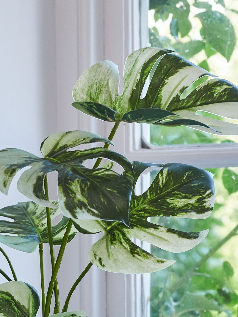 Beards & Daisies Green Artificial Variaged Monstera