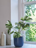 Beards & Daisies Green Artificial Variaged Monstera