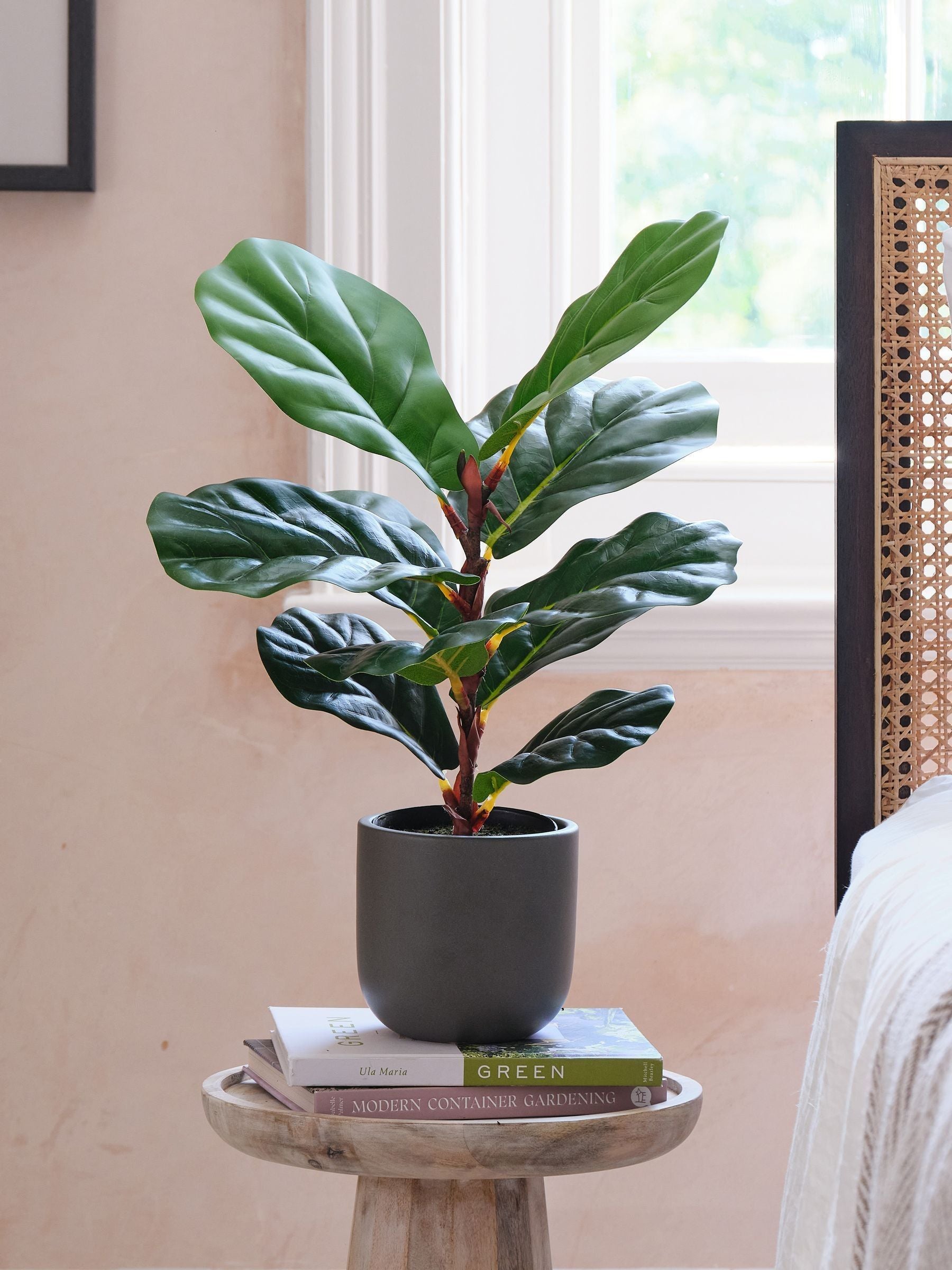 Beards & Daisies Green Artificial Fiddle Leaf Fig Plant