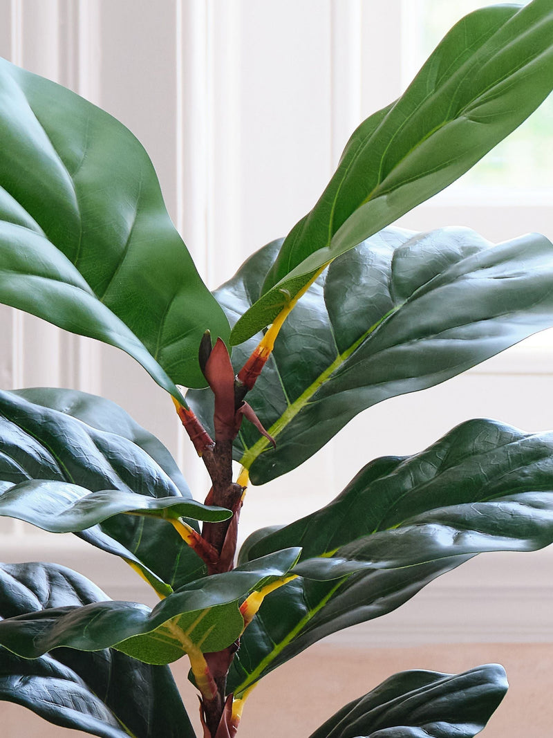 Beards & Daisies Green Artificial Fiddle Leaf Fig Plant