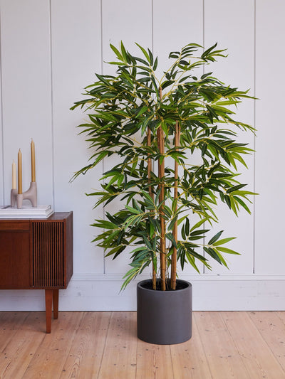 Next Beards & Daisies Green Artificial Bamboo Tree- Buy online at McGrocer